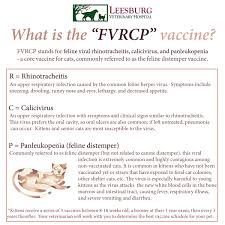 Symptoms, treatment and home remedies for. Pet Vaccinations 101 Leesburg Vet Blog