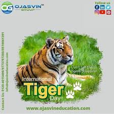 Download mp3 & video for: Tiger Day In 2020 Save The Tiger Tiger University Abroad