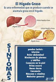 El hígado tiene una gran capacidad de regeneración con y se logra con  cambios de hábitos: Una intervención detox profunda: Reducir la grasa  hepática Reducir los cálculos biliares Mejorar las enzimas del