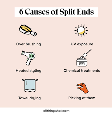 Intensely nourishing shampoo, conditioner, hair treatment, masque & oil for dry hair. What Causes Split Ends Learn How To Prevent Damage In Hair