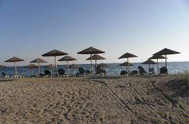 Η mandynamic αναζητά barista για beach bar περιοχή: Hotel Amenities Toroni Beach Bar Sithonia Accommodation