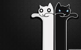 Black And White Kitty Wallpaper Posters Wallpapers Cat Kitty Comics Blackcat Whitecat Black And White Wallpaper Cute Wallpapers Cat Wallpaper