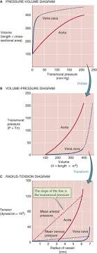 The blood vessels are the part of the circulatory system that transports blood throughout the a few structures (such as cartilage and the lens of the eye) do not contain blood vessels and are labeled. Elastic Properties Of Blood Vessels Arteries And Veins The Cardiovascular System Medical Physiology 3rd Edition