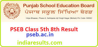 Your roll number slip will be issued. Pseb Class 5th 8th Result 2021 Indiaresults Com 5th 8th Result Name Wise Roll Number Wise Tnteu News
