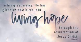 It is found in the book of john, in the third chapter. What Is A Born Again Christian What Is The Meaning And Significance Of Being Reborn