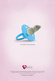 We've improved our adoptions process to better care for the animals in our centres by using an appointment system. Spca Print Advert By G2 Pacifier Ads Of The World