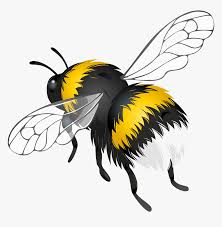 We did not find results for: Flying Bee Png Clipart Clip Art Flying Bee Transparent Png Transparent Png Image Pngitem