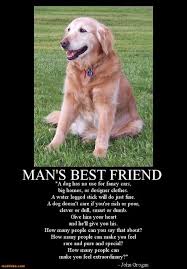 Pin By Darcey Flores On Quotes Poetry Loyal Dogs I Love Dogs Military Dogs