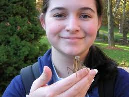 Rare Say Mantidfly found in NY area