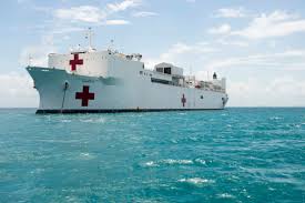 Image result for Hospital Ship Green 1918 Military
