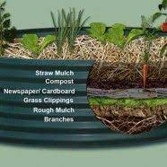 Building A Raised Bed Garden Raised Vegetable Gardens Building A Raised Garden Raised Garden