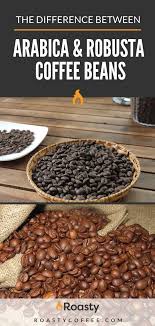 Arabica And Robusta Beans Are Just Two Of Among 100 Different Species Of Coffee But They Are The Two Most Common Robusta Coffee Coffee Stirrers Craving Coffee