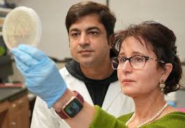 The Leukemia & Lymphoma Society Awards $65 Million in New Funding for Blood