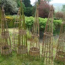 The blackberry vines, narrow willow branches, corkscrew willow, and grapevines worked well for this. Willow Obelisks Course