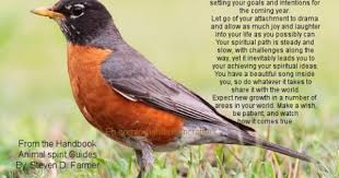 Birds Chirping In The Morning Spiritual Meaning If A Robin Shows Up It Means It S Time To Let Go Of Anything In Your Life That S Outmoded An Spirit Animal Meaning Spirit Animal Totem Animal Spirit Guides