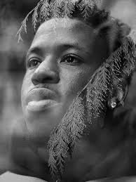 Adrien Allard Photographie (@adrienallardphotographie) • Instagram photos  and videos