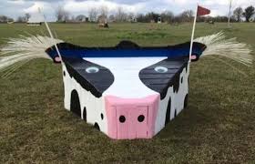 10 Furchterregende Fechtideen Im Hinterhof Tips Fendi