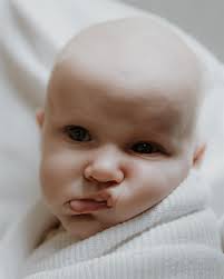 Coffs Harbour Photographer •Maternity• Newborn •Family• Weddings  (@wallflowerandwildphotography) • Instagram photos and videos