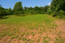 The term was coined by the u.s. Food Plots 101 Small Soybean Food Plots Deergro Food Plot Spray