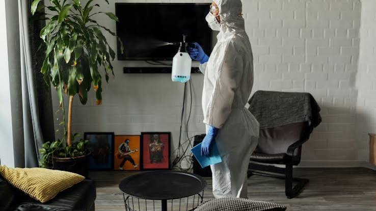Home Decor Guide: How to keep your home pest free | Architectural Digest India
