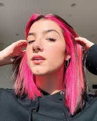 It's disgusting how spoiled and disrespectful those girls are, one commenter wrote. Charlie D Amelio New Hair New Hairstyle Charlie D Amelio New Hair