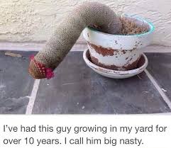 Fizello cute a cactus is just a really aggressive cucumber en iyi fiyatla hepsiburada'dan satın alın! It S A Cactus
