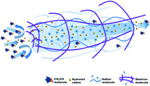 Check spelling or type a new query. Enhancing The Selectivity Of Nafion Membrane By Incorporating A Novel Functional Skeleton Molecule To Improve The Performance Of Direct Methanol Fuel Cells Journal Of Materials Chemistry A Rsc Publishing
