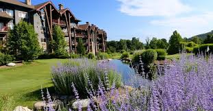 We did not find results for: Grand Cascades Lodge Updated 2021 Prices Hotel Reviews Hamburg Nj Tripadvisor