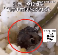 鼠头还是鸭脖？透视事件背后的逻辑与顾虑_手机搜狐网