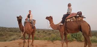 Food and water are one of the absolute necessities for both humans and animals. Jodhpur Camel Safari 2021 All You Need To Know Before You Go With Photos Tripadvisor