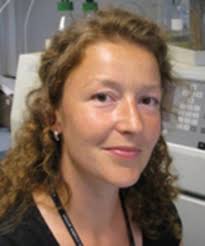 Origin and characterization of cyclodepsipeptides: Comprehensive structural  approaches with focus