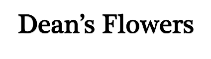 Maybe you would like to learn more about one of these? La Marque Florist Flower Delivery By Dean S Flowers