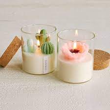 Check spelling or type a new query. Terrarium Candle Cactus Candles Flower Candles Uncommon Goods
