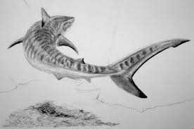 Black And White Shark Tattoo Sleeve Browsing Scraps On Deviantart Art Animals Shark Tattoos Shark Drawing Shark Painting