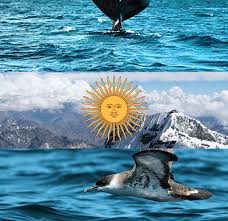 Descarga maravillosas imágenes gratuitas sobre bandera argentina. Bandera Argentina Naturaleza By User20003 On Deviantart