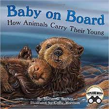 Baby On Board How Animals Carry Their Young Marianne Berkes Cathy Morrison 9781584695936 Amazon Com Books Animals Children S Picture Books Picture Book