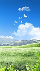 meadow landscape grass field background sky aesthetic blur photo background beautiful night sky