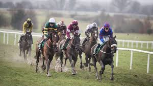 Heavy-ground horses: three who will relish conditions at Navan on Sunday - including a Cheltenham Festival winner
