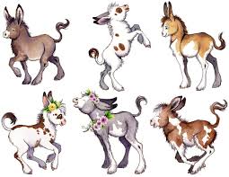Donkey Stickers Cute Planner Stickers Donkey Farm Animal Etsy Animal Sketches Animal Drawings Cute Drawings
