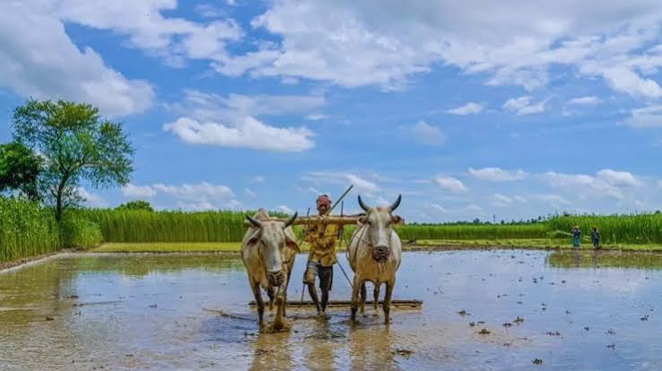 कहीं आफत तो कहीं राहत! बारिश से आम जन-जीवन अस्त-व्यस्त, लेकिन किसानों के चेहरे खिले - life disrupted due to heavy rain in Uttarakhand but farmers are happy ntc - AajTak