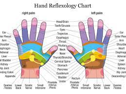 Matthew donovan answered specializes in orthopedic surgery Hand Therapy When You Touch These Points On Your Hands