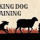 Working Dog Training