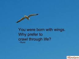 For most gulls it was not flying that matters, but eating. Jonathan Livingston Seagull Quotes Google Search Jonathan Livingston Seagull Quotes Quotes To Live By Quotations
