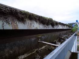 You should have your gutters cleaned at least two times a year. How Often To Clean Gutters No Trees Arxiusarquitectura
