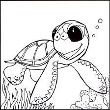 100% free coloring page of baby turtle. Baby Sea Turtle Coloring Pages Turtle Coloring Pages Cartoon Coloring Pages Animal Coloring Pages