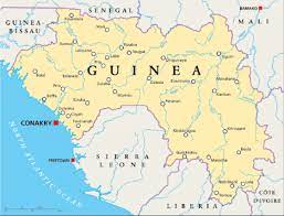 Definition of guinea (entry 2 of 2) 1 region of western africa bordering on the atlantic from gambia (on the north) to angola (on the south) Guinee West African Health Organization