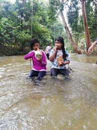 Untuk bersantai petang, anda boleh membuat perjalanan ke chinatown kedah. Rimba Cafe Makan Sambil Main Sungai Jelajah Maya