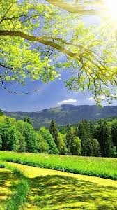 Download hd hd nature wallpapers best collection. Hd Phone Wallpapers Nature Wallpaper Iphone 5s Hd Flickr