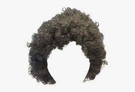Black curly hair men png. Afro Wig Png Wig Hair Png For Man 500x491 Png Download Pngkit