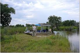 Image result for Habenaria pasmithii